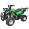 Квадроцикл HB-EATV1000D-5
