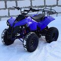 Квадроцикл HB-EATV1000C