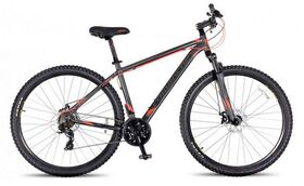 Велосипед COMANCHE PRAIRIE 29 DISC (Серый)