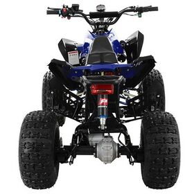 Квадроцикл HB-EATV1000Q2-4