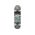 Скейтборд SLIDE MASTER NEW